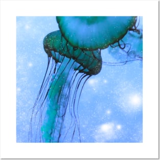 Jellyfish Posters and Art